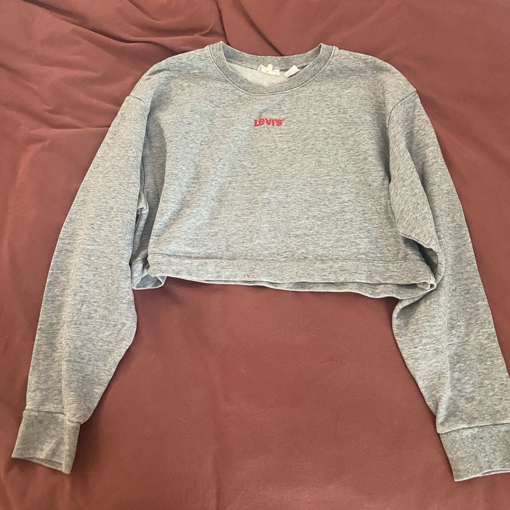 Cropped grey Levi’s sweatshirt